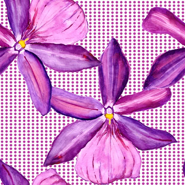 シームレスなパターンの花は水彩で実行されます。花の完全な名前は蘭の花 — ストック写真