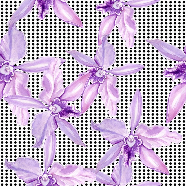 Wzór, kwiaty są wykonywane w akwareli. Pełna nazwa kwiatu jest orchidea — Zdjęcie stockowe