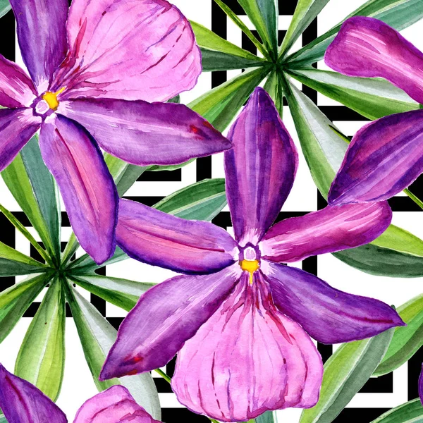 Dikişsiz desen, çiçek suluboya içinde yürütülür. Çiçek orkide tam adıdır