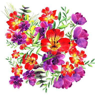 sulu boya çiçekler. çiçek illüstrasyon. Beyaz arka plan üzerinde izole çiçek dalı. Düğün veya tebrik kartı için şirin kompozisyon