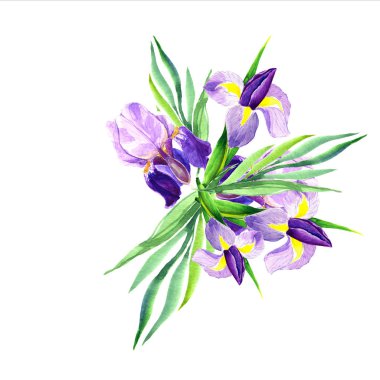 Dekoratif suluboya çiçek. çiçek illüstrasyon. Botanik kompozisyon düğün veya tebrik kartı için. çiçekler, romantik Şubesi.