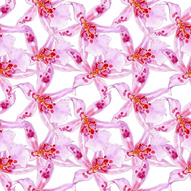 Dikişsiz desen, botanik illüstrasyon, güzel çiçekler, çiçek süsleme, beyaz arka plan üzerinde izole