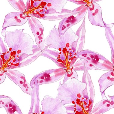 Dikişsiz desen, botanik illüstrasyon, güzel çiçekler, çiçek süsleme, beyaz arka plan üzerinde izole