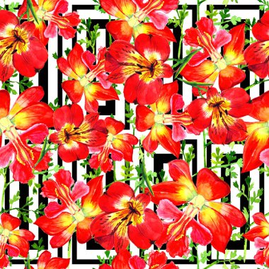  Sulu boya çiçekler çok güzel. Seamless modeli. Bir kumaş, duvar kağıdı, wrapper kullanılabilir.