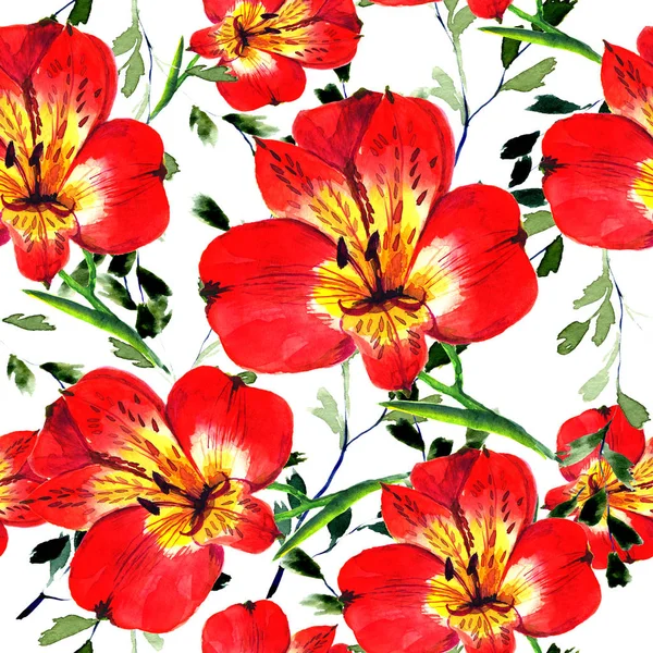 美しい水彩花。白い背景に水彩で描かれた赤い柔らかい花の手でシームレス花柄 — ストック写真