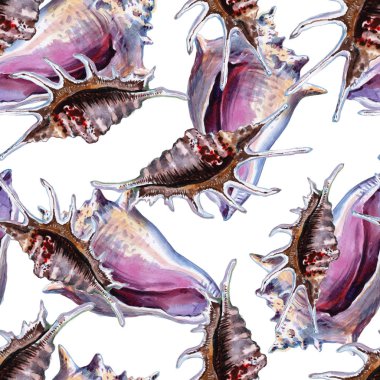 Deniz kabuğu beyaz arka planda kesintisiz duvar kağıdı. Suluboya - illüstrasyon