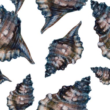 Deniz kabuğu beyaz arka planda kesintisiz duvar kağıdı. Suluboya - illüstrasyon