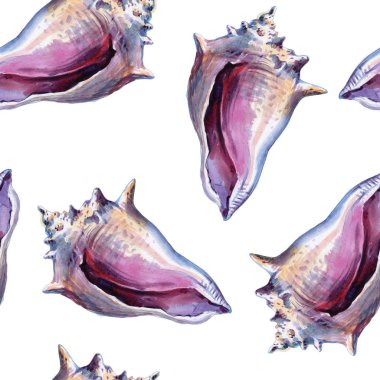 Deniz kabuğu beyaz arka planda kesintisiz duvar kağıdı. Suluboya - illüstrasyon