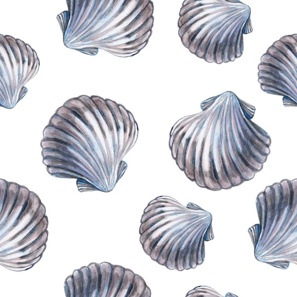 Seamless wallpaper of sea shell on white background. Watercolor - Illustration — Stock Photo, Image
