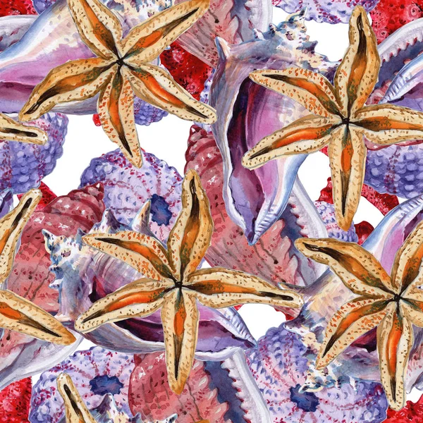 Bezproblémové vzor mušle, korály a starfishes. Mořské pozadí. Ilustrace v watercollor stylu. Ideální pro pozdravy, pozvánky, balicí papír, textil, svatba a web design. — Stock fotografie