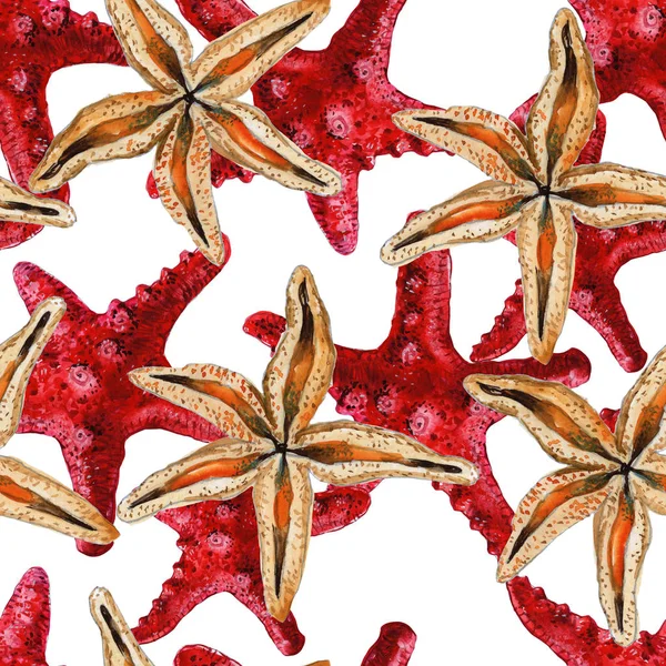 Patrón Sin Costuras Con Conchas Marinas Corales Estrellas Mar Fondo — Foto de Stock
