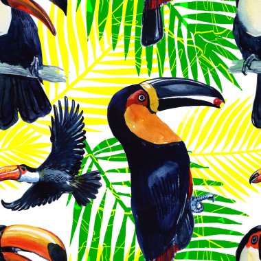 Egzotik kuş toucan. Suluboya içinde yapılmış sorunsuz arka plan. Yabani kuş kuş arka plan, doku, desen, çerçeve, kenarlık veya dövme için.