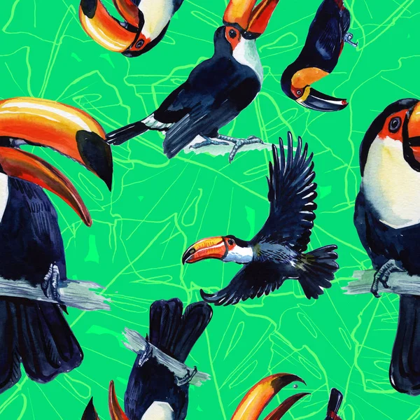 Toucan. Pájaro exótico pintado de acuarela. Fondo sin fisuras. Libertad salvaje, un pájaro con alas voladoras. Pájaro para fondo, textura, patrón, marco, borde o tatuaje . — Foto de Stock