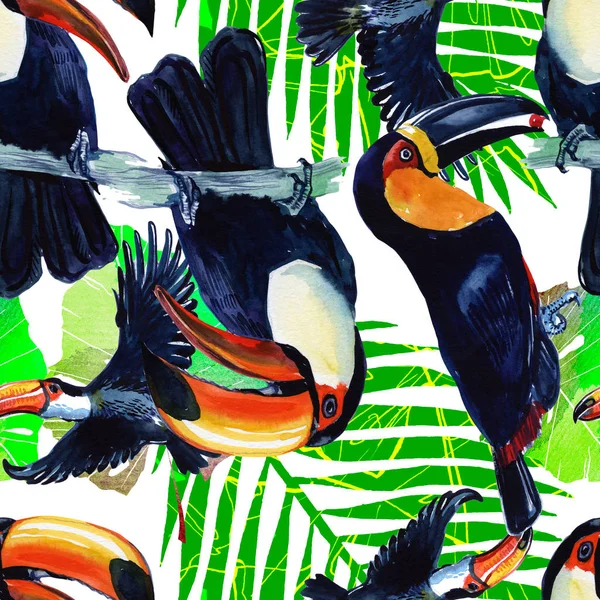 Egzotikus madár tukán. Akvarell készült varratmentes háttérben. Vadon élő madár madár a háttérben, anyagmintát, mintázatot, keret, szegély vagy tetoválás. — Stock Fotó