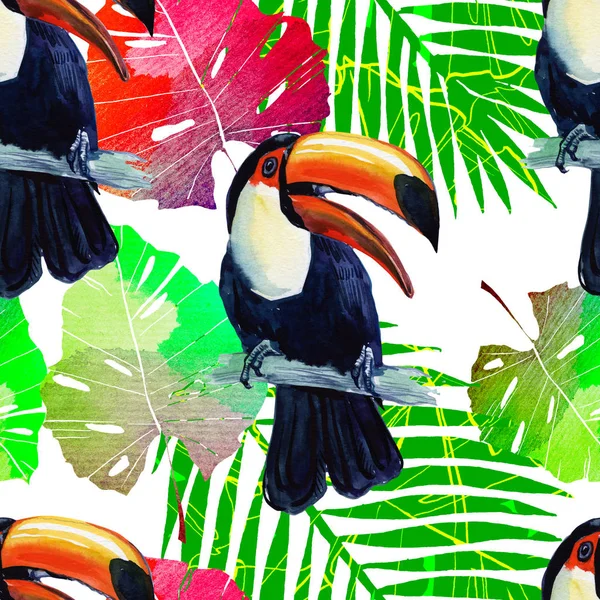 Toucan Exotique Fond Sans Couture Aquarelle Oiseau Sauvage Oiseau Pour — Photo