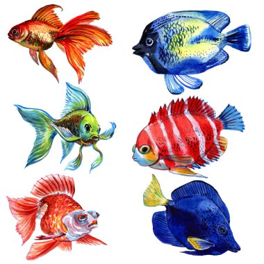 Beyaz arka plan üzerinde izole Deniz balığı. Egzotik balık kümesi.