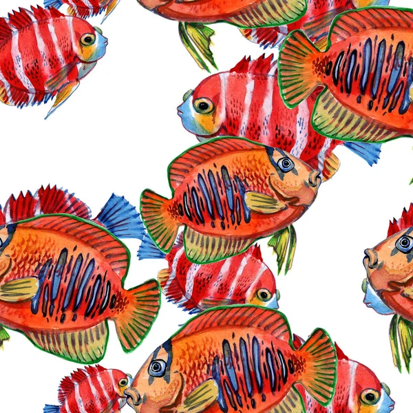 Sea fish. Marine aquarium fish seamless pattern. Tropical fish