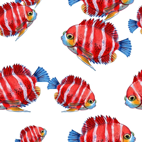 Sea exotic fish. Sea background. The fish is painted in watercolor. Seamless pattern with tropical fishes