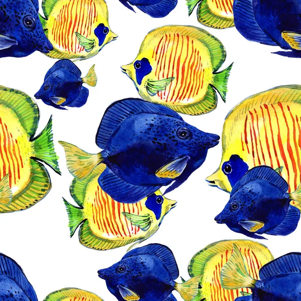 Sea exotic fish. Sea background. The fish is painted in watercolor. Seamless pattern with tropical fishes