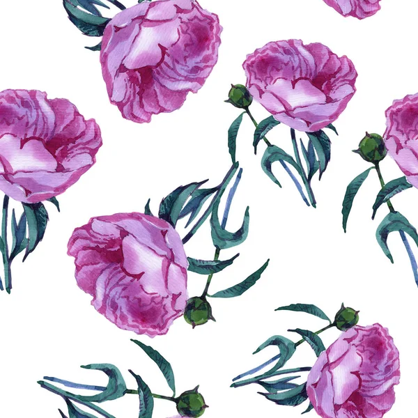 Watercolor. Seamless wallpaper. Flower peony. Flower pattern. The foundation