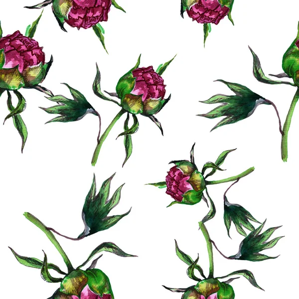 Watercolor. Seamless wallpaper. Flower peony. Flower pattern. The foundation Stock Picture