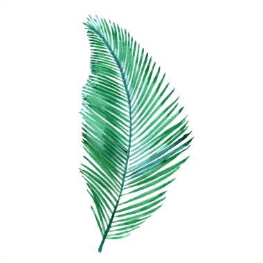 Tropikal yaprak suluboya tarzında.