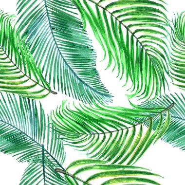 Tropikal Hawaii bir suluboya tarzında bırakır. Arka plan, doku, sarıcı desen, çerçeve veya kenarlık için Aquarelle kır çiçeği. -İllüstrasyon