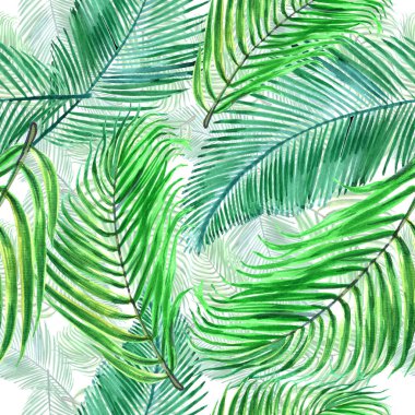 Tropikal Hawaii bir suluboya tarzında bırakır. Arka plan, doku, sarıcı desen, çerçeve veya kenarlık için Aquarelle kır çiçeği. -İllüstrasyon