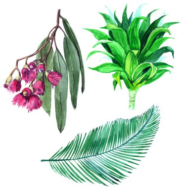 Tropikal Hawaii bir suluboya tarzında bırakır. Arka plan, doku, sarıcı desen, çerçeve veya kenarlık için Aquarelle kır çiçeği. -İllüstrasyon