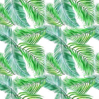 Tropikal Hawaii bir suluboya tarzında bırakır. Arka plan, doku, sarıcı desen, çerçeve veya kenarlık için Aquarelle kır çiçeği. -İllüstrasyon