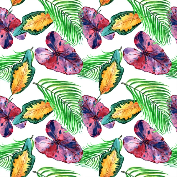 Tropical Hawaii leaves in a watercolor style. Aquarelle wild flower for background, texture, wrapper pattern, frame or border. - Illustration