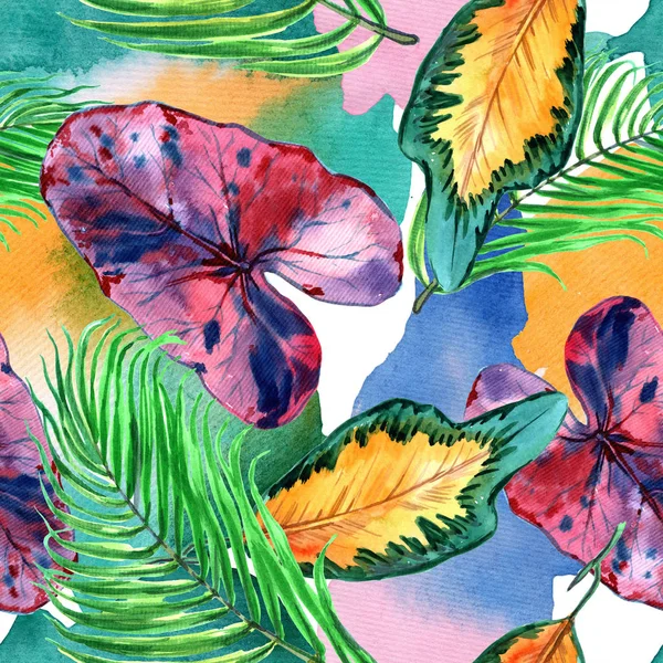 Le Hawaii tropicali partono in stile acquerello. Aquarelle fiore selvatico per sfondo, texture, motivo avvolgente, cornice o bordo. Illustrazione — Foto Stock