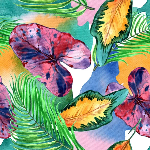 Tropical Hawaii deja en un estilo acuarela. Flor silvestre Aquarelle para fondo, textura, patrón de envoltura, marco o borde. - Ilustración —  Fotos de Stock