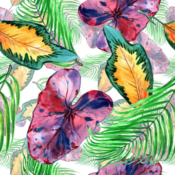 Tropical Hawaii leaves in a watercolor style. Aquarelle wild flower for background, texture, wrapper pattern, frame or border. - Illustration
