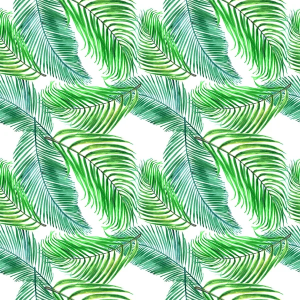 Tropiska Hawaii lämnar i akvarell stil. Aquarelle vild blomma för bakgrund, textur, wrapper mönster, ram eller kant. -Illustration — Stockfoto