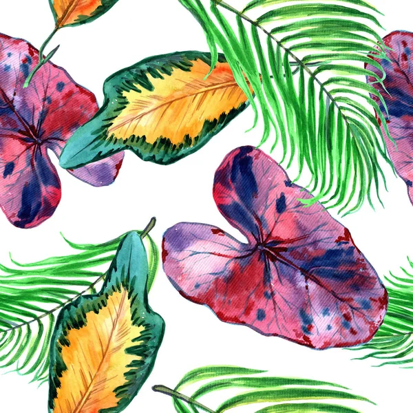 Tropiska Hawaii lämnar i akvarell stil. Aquarelle vild blomma för bakgrund, textur, wrapper mönster, ram eller kant. -Illustration — Stockfoto