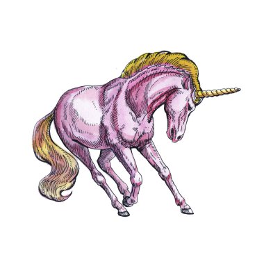Beyaz arka planda izole Unicorn. Masal karakteri.