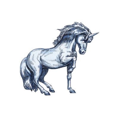 Beyaz arka planda izole Unicorn. Masal karakteri.