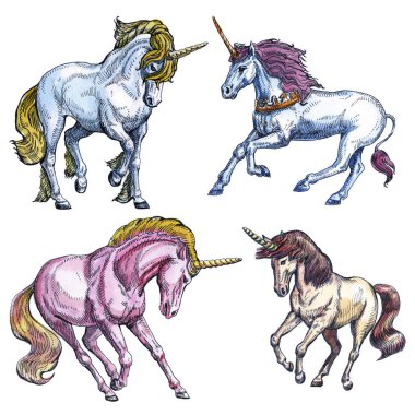 Beyaz arka planda izole Unicorn. Masal karakteri.