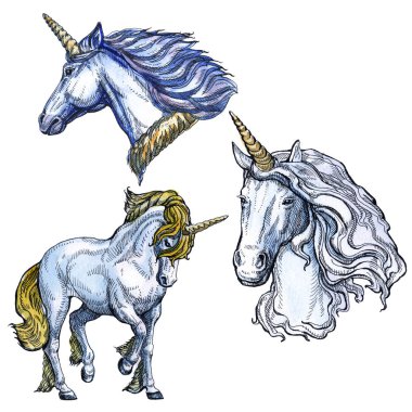 Beyaz arka planda izole Unicorn. Masal karakteri.