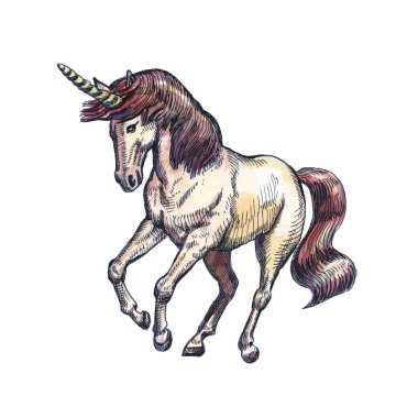 Beyaz arka planda izole Unicorn. Masal karakteri.