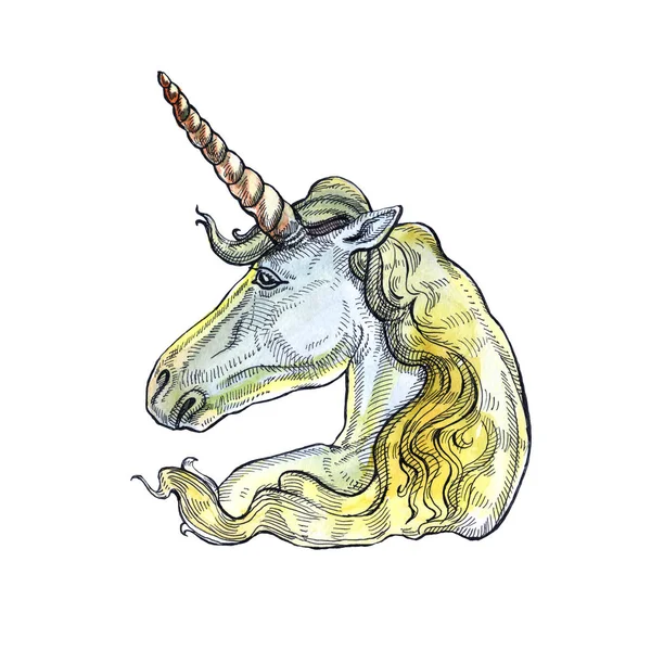 Beyaz arka planda izole Unicorn. Masal karakteri.