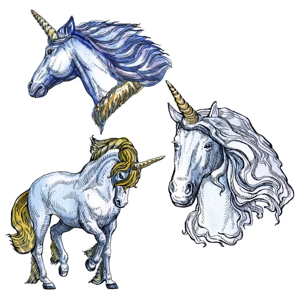 Beyaz arka planda izole Unicorn. Masal karakteri.