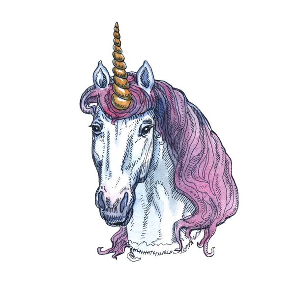Unicornio aislado sobre fondo blanco. Personaje de cuento de hadas . —  Fotos de Stock
