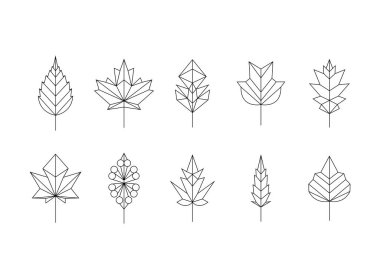 Ağaç yaprağı geometrik stil, grafik ağaç seti-beyaz arka planda