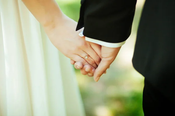 Wedding Theme Holding Hands Newlyweds — Stock Photo, Image