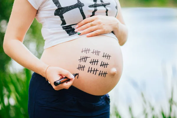 Calendário Com Semanas Grávida Com Antecedentes Mulher Grávida Conceito Maternidade — Fotografia de Stock