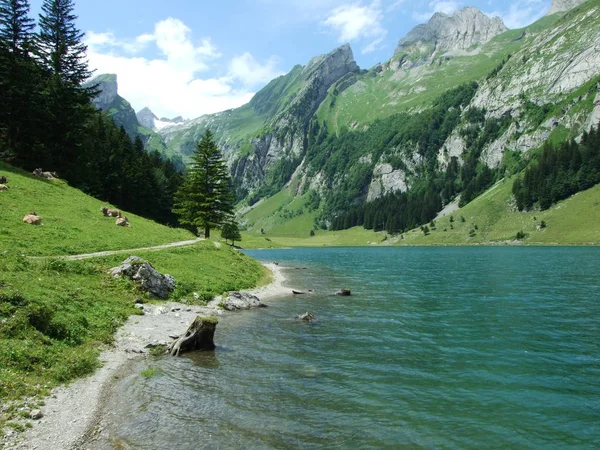 Lago Los Alpes Suizos —  Fotos de Stock