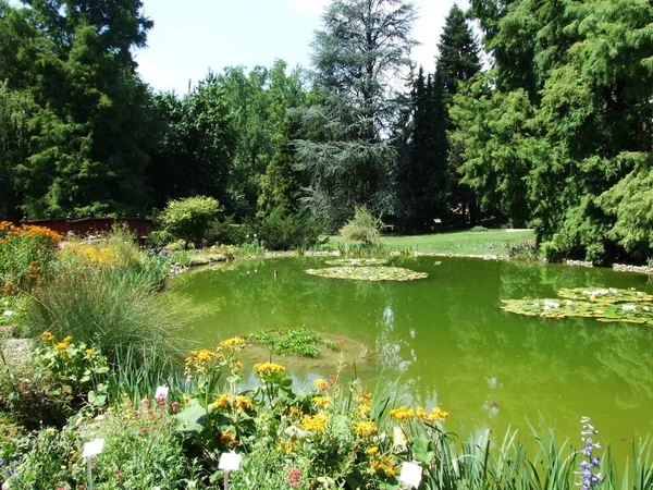 ザグレブの街の植物園の池 — ストック写真