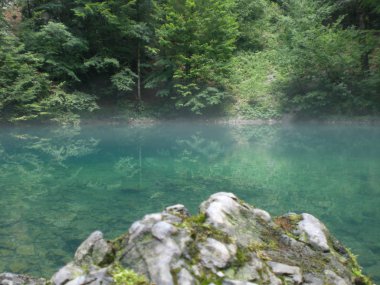 Kaynak ormanın içinde dağ Nehri